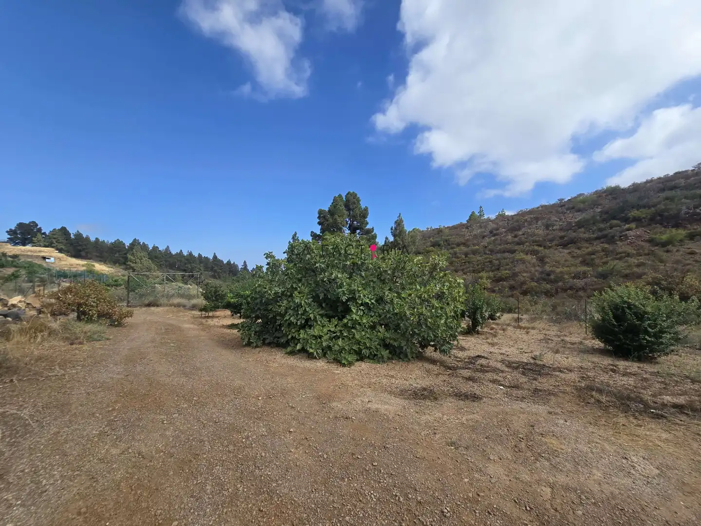 Terreno en venta en Cruz de Tea