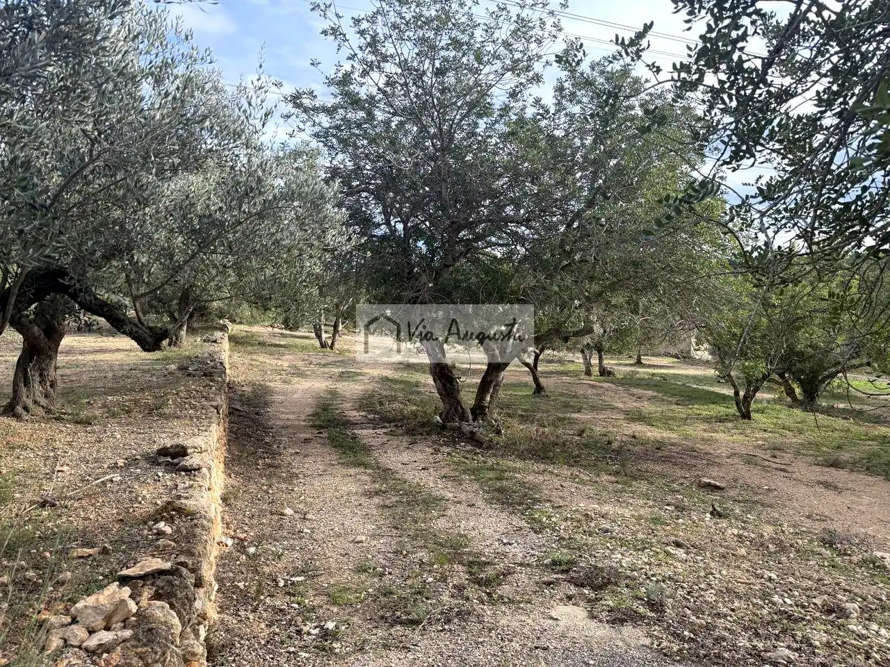 Grundstücke zum Verkauf in L'Ametlla de Mar 
