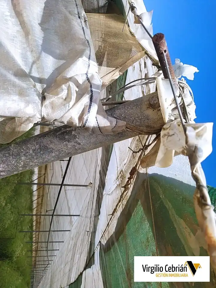 Grundstücke und Bauplätze zum Verkauf in Centro, imagen 4