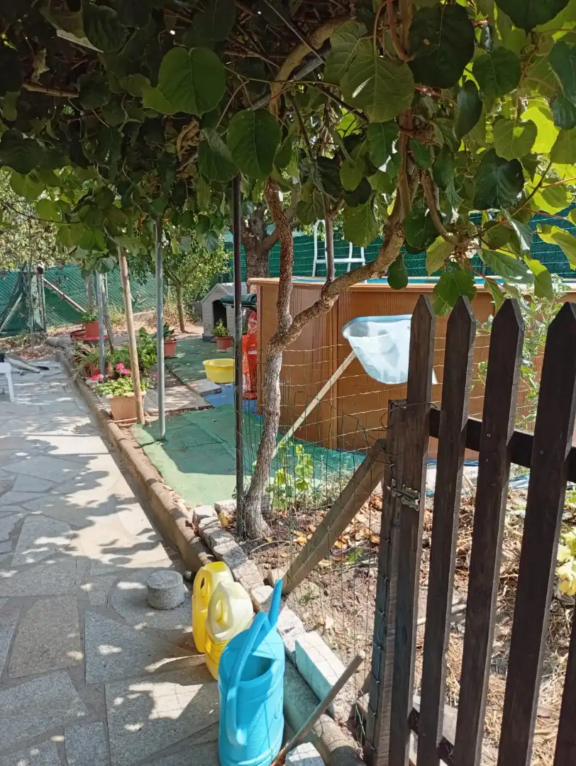 Jardí de Casa o xalet en venda en Ourense Capital  amb Calefacció, Jardí privat i Parquet