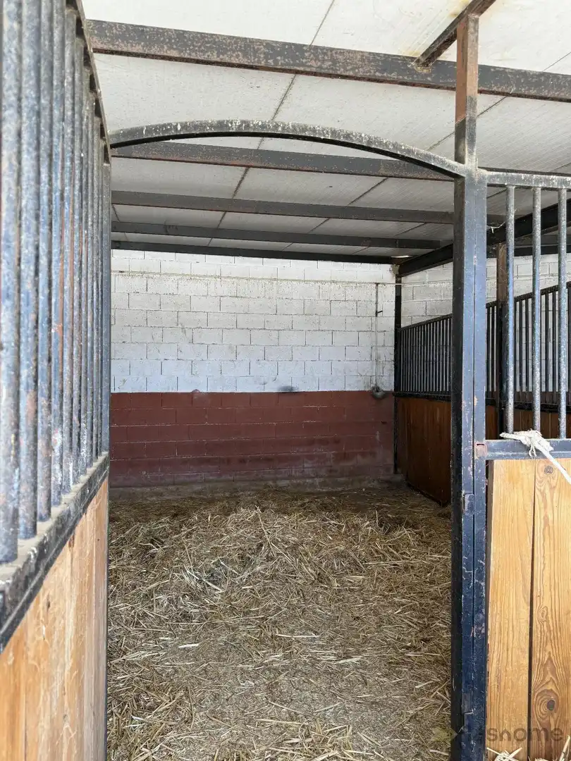 Vista exterior de Finca rústica en venta en San Pedro de Mérida con Amueblado
