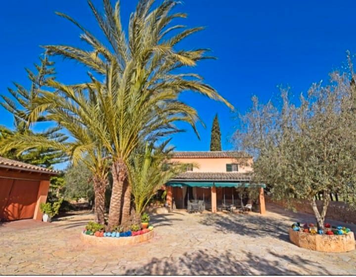 Vista exterior de Casa o xalet en venda en  Palma de Mallorca amb Aire condicionat, Calefacció i Jardí privat