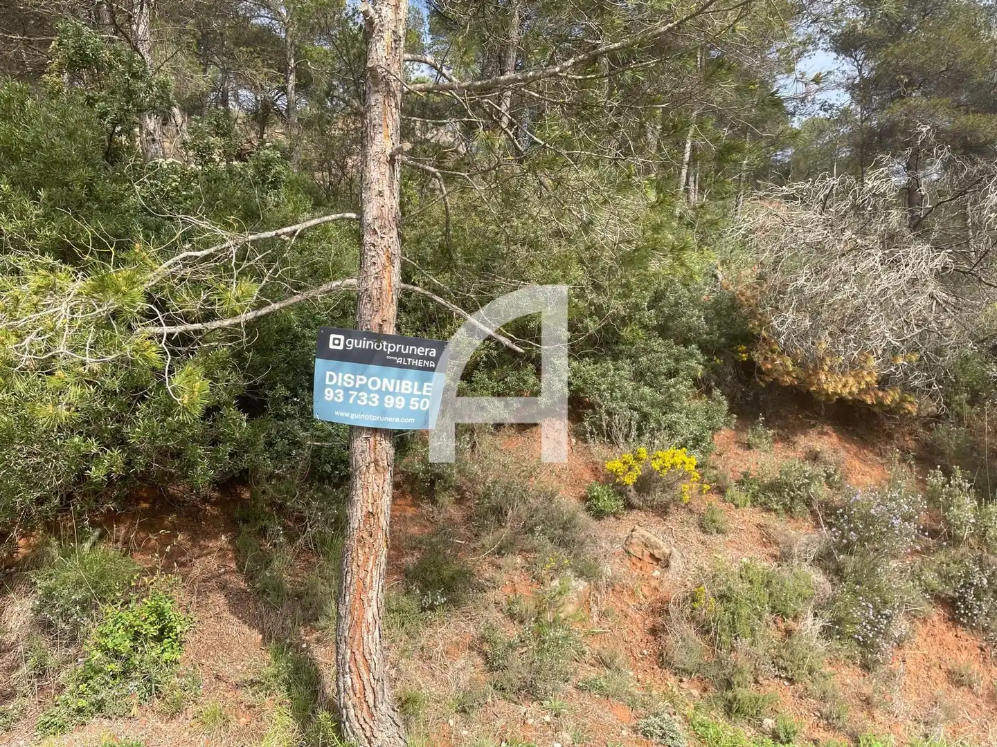 Rural land for sale in Ronda del Bosc, imagen 2