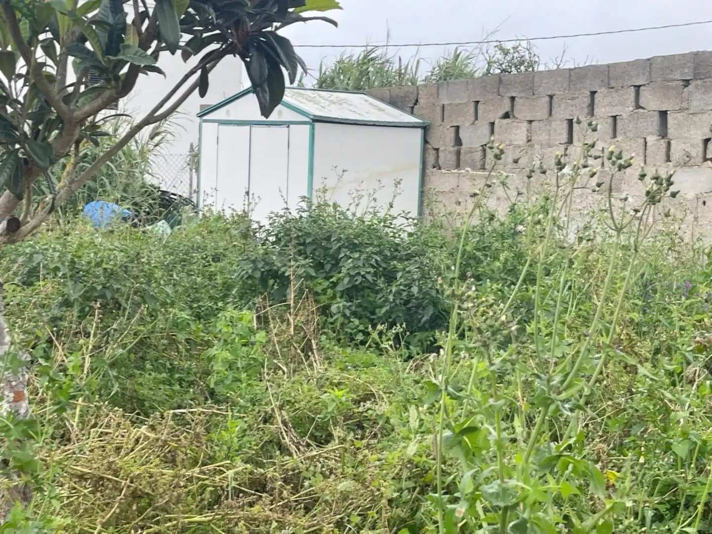Casa o xalet en venda en Moya (Las Palmas) amb Traster