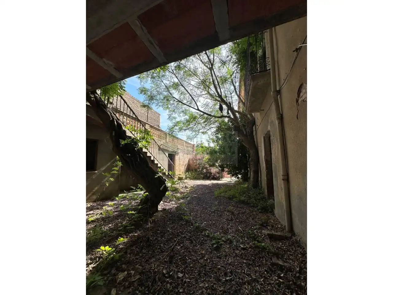 Vista exterior de Finca rústica en venta en Saus, Camallera i Llampaies con Terraza