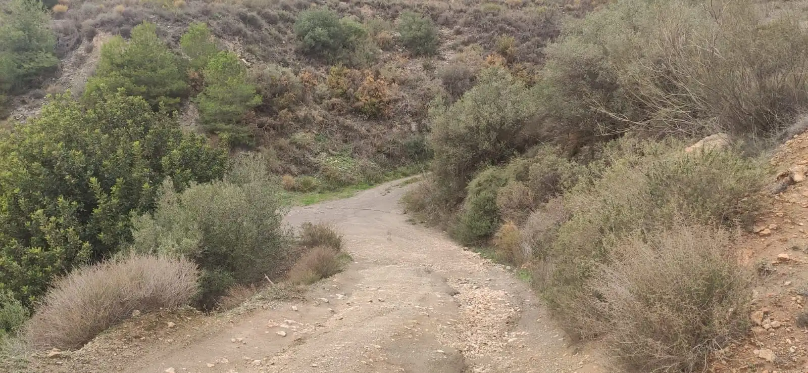Terreno rústico en venta en Motril  ciudad