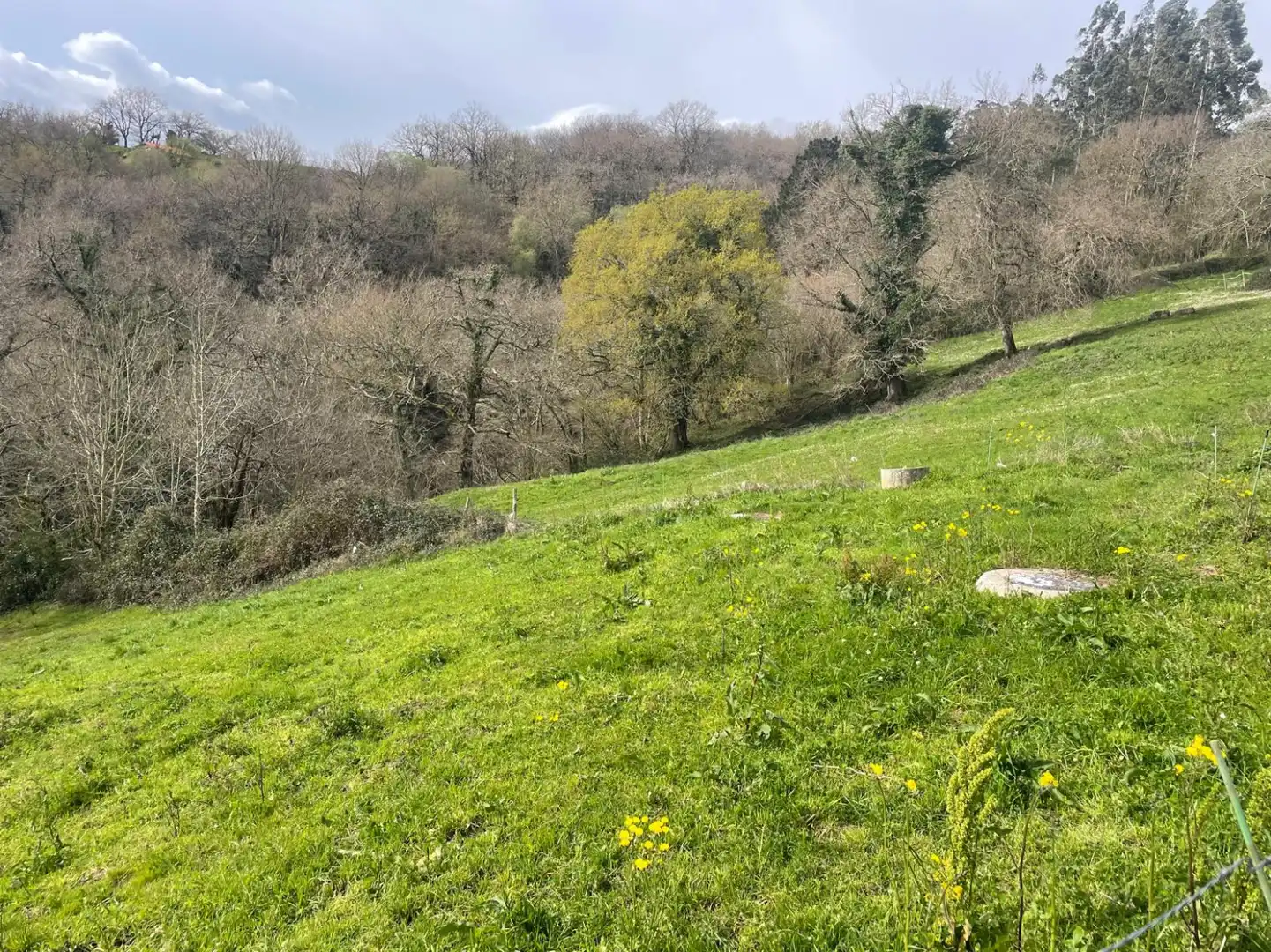Terreni e lotti in vendita a Corvera de Toranzo