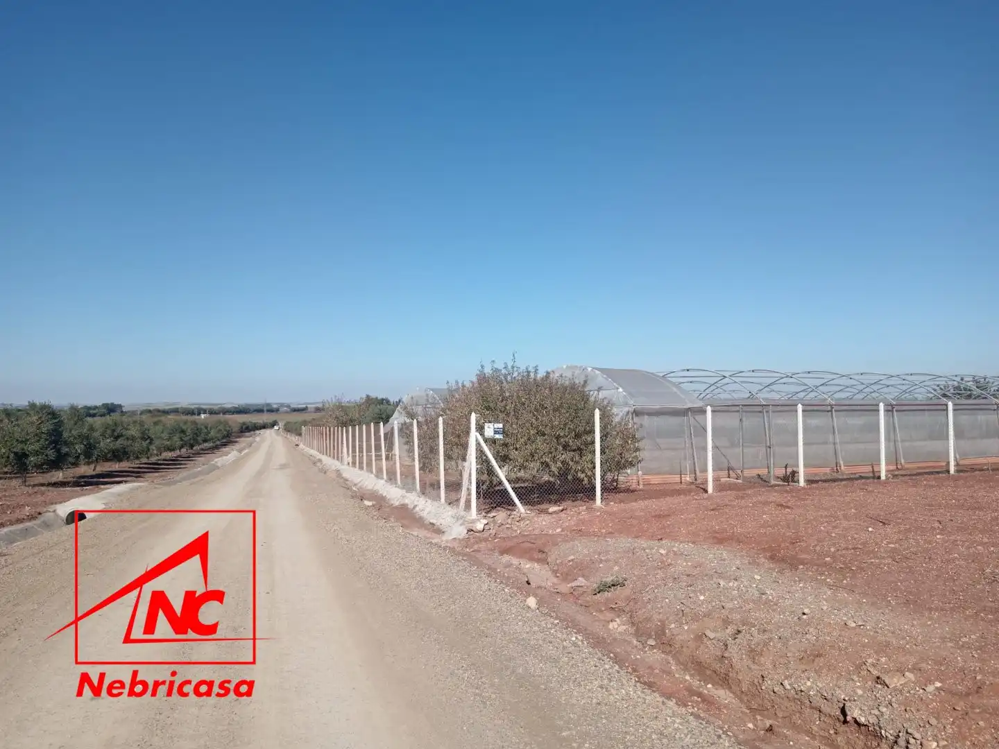 Lands and plots for sale in El Cuervo de Sevilla, imagen 11