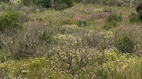 Ref A153 Terreno rustico de regadío en Zalea, immagine 3