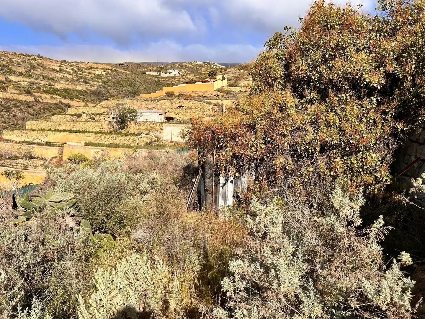 Land for sale in Fasnia