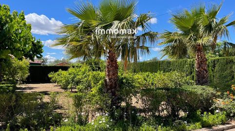 Foto 5 de Casa o xalet en venda a Sant Bernabé, Jesús - Els Reguers, Tortosa