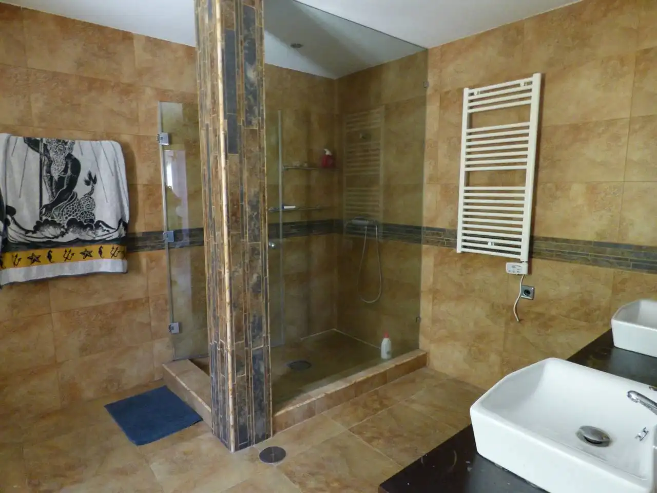 Bany de Casa o xalet en venda en Valdeaveruelo amb Jardí privat
