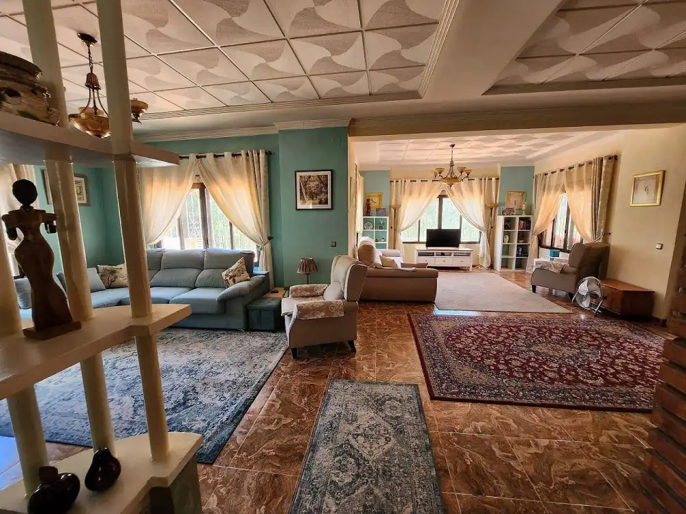 Sala de estar de Casa o chalet en venta en Jalance