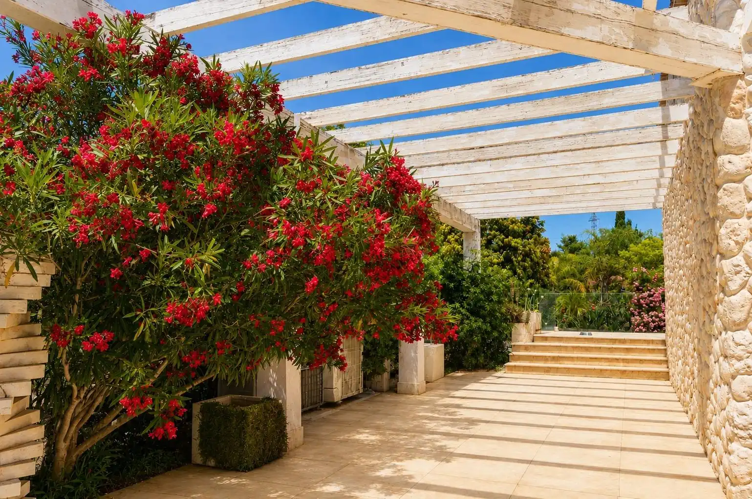 Casa amb jardí en venda a Binissalem, imagen 26