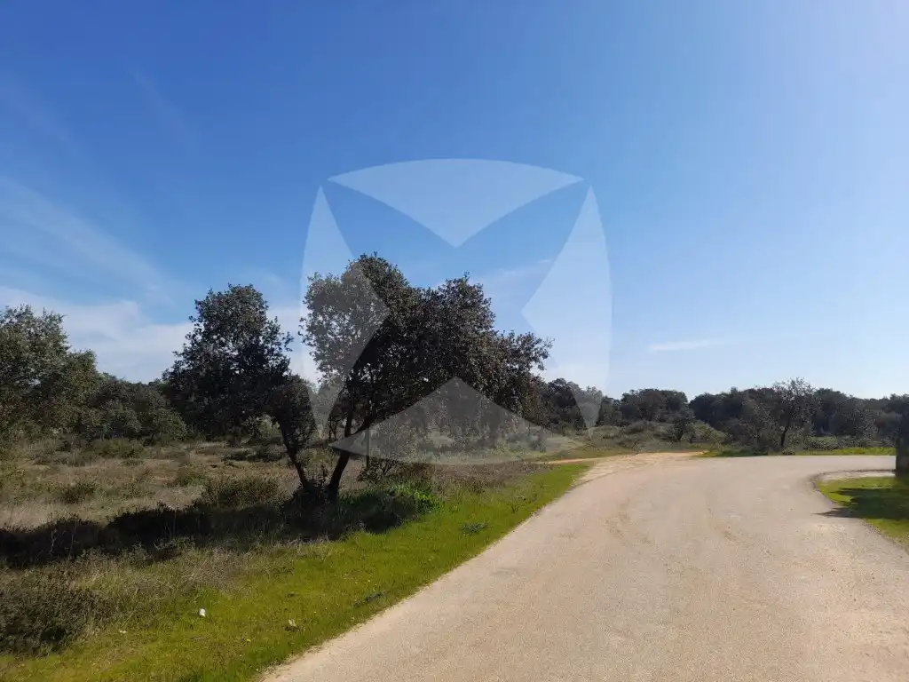 Terreni e lotti in vendita a Diseminados Malas Aradas, imagen 5