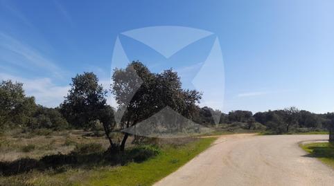 Photo 5 of Residential for sale in Diseminados Malas Aradas, Dehesilla de Calamón - Campomanes, Badajoz Capital