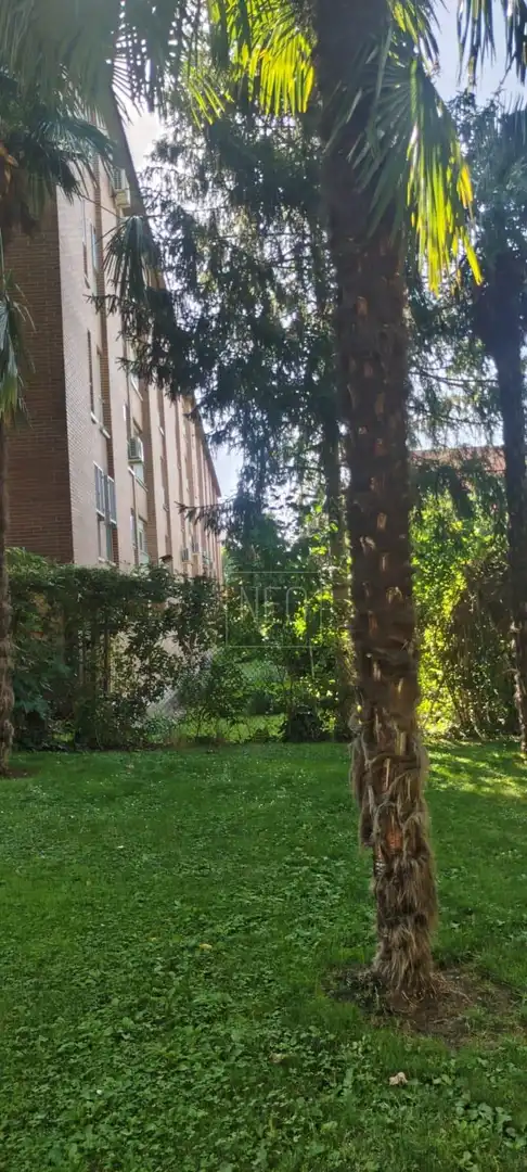 Vista exterior de Planta baixa en venda en San Sebastián de los Reyes amb Calefacció, Parquet i Terrassa