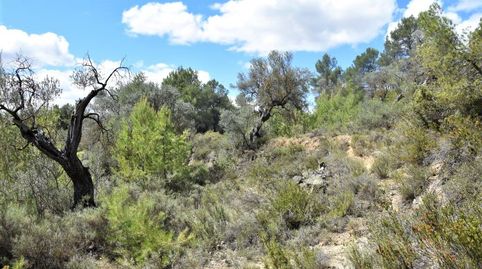 Foto 4 de Terreny en venda a Arens de Lledó, Teruel