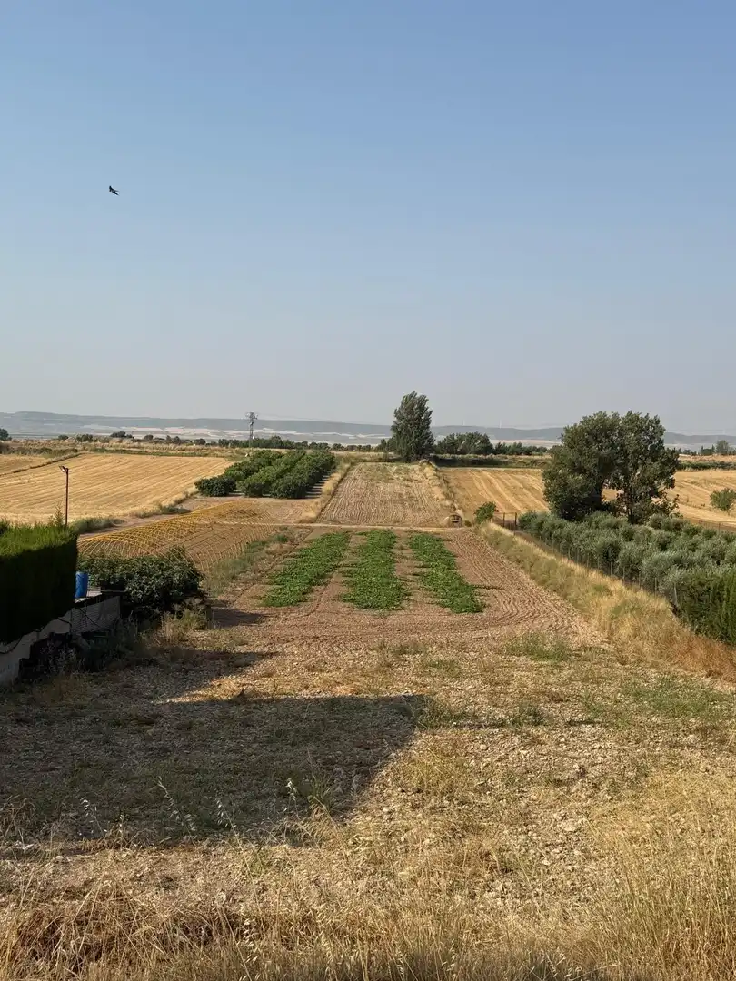 Terrain rustique à vendre à Barrios rurales del oeste, imagen 2