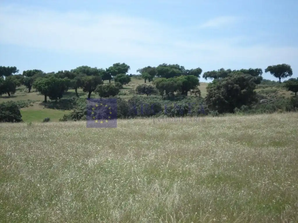 Maison à vendre à Poligono 11 Paraje 59 Cañada, imagen 2