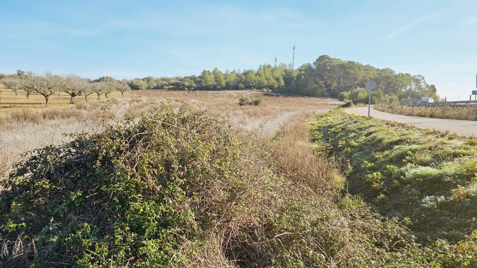 Rural land for sale in Sant Joan, imagen 5