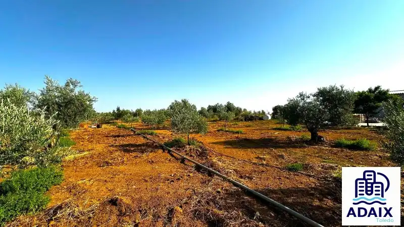 Finca rústica en venda en Gálvez amb Aire condicionat