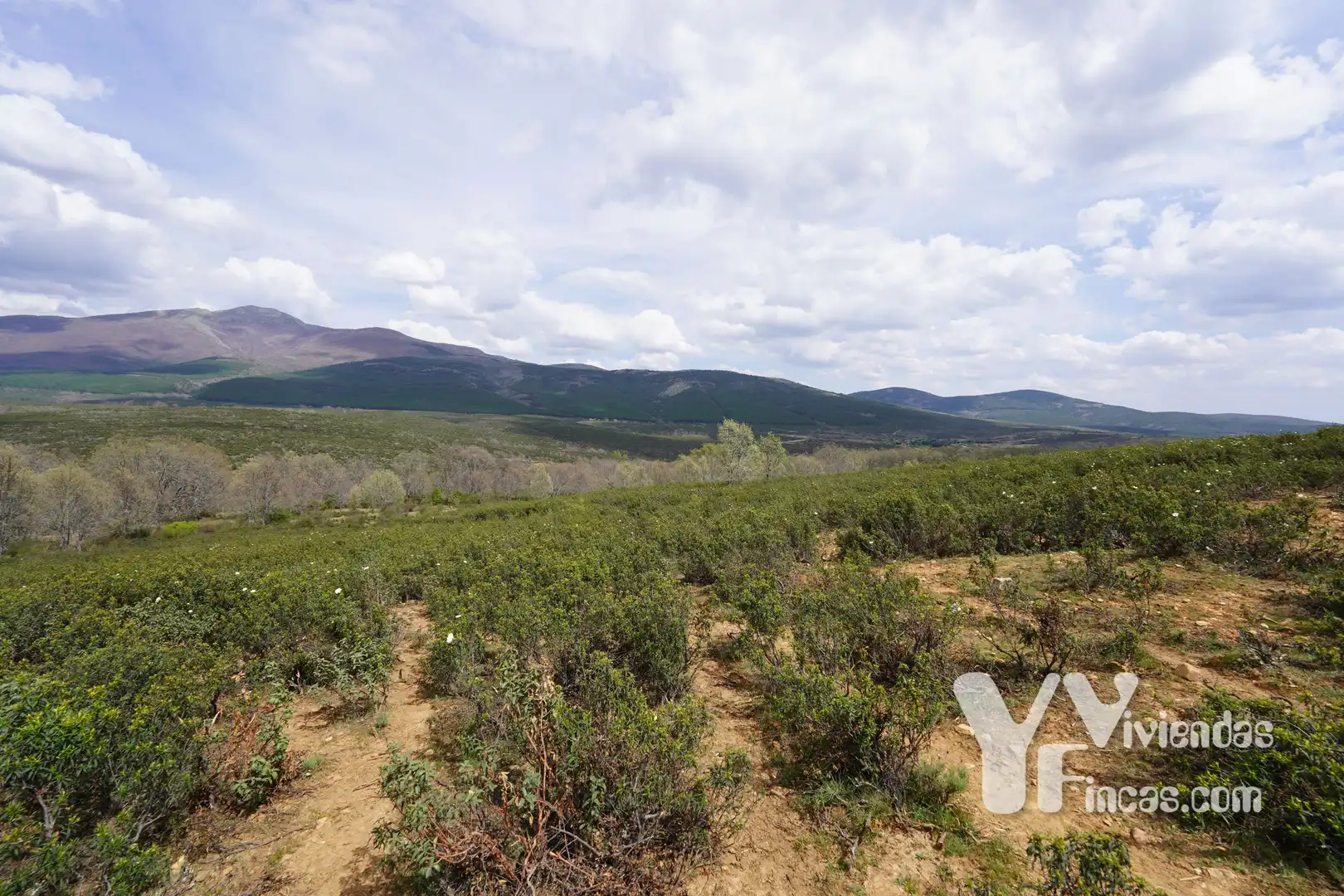 Terreno rústico en venta en Campillo de Ranas, imagen 8