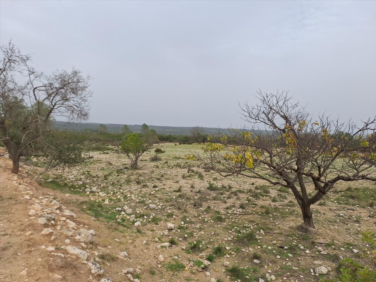 Residential for sale in Enguera