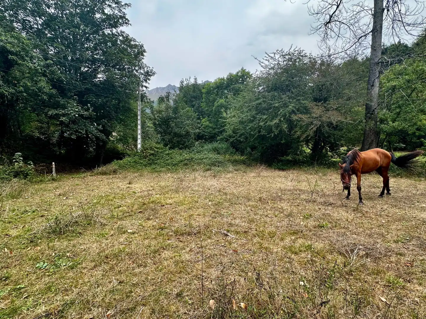 Residential for sale in Cangas de Onís