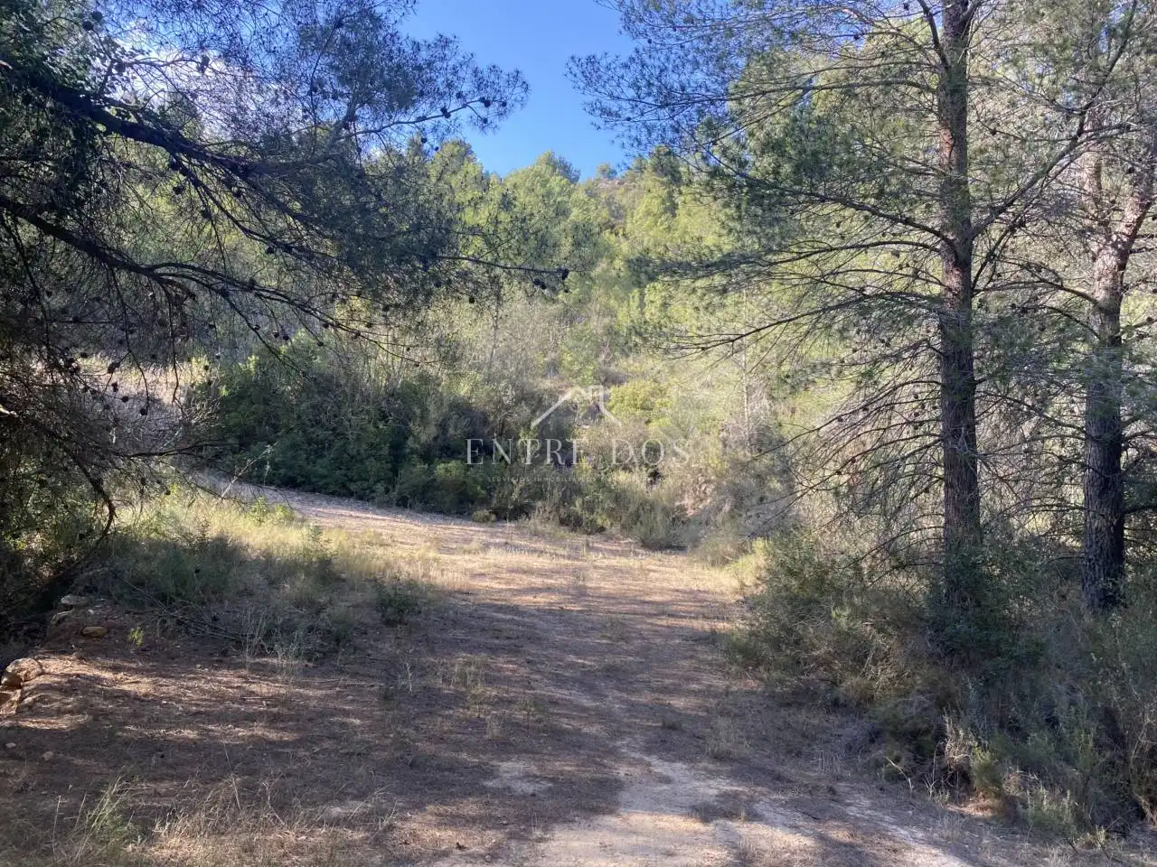 Rural land for sale in 18 parcela 79, imagen 9
