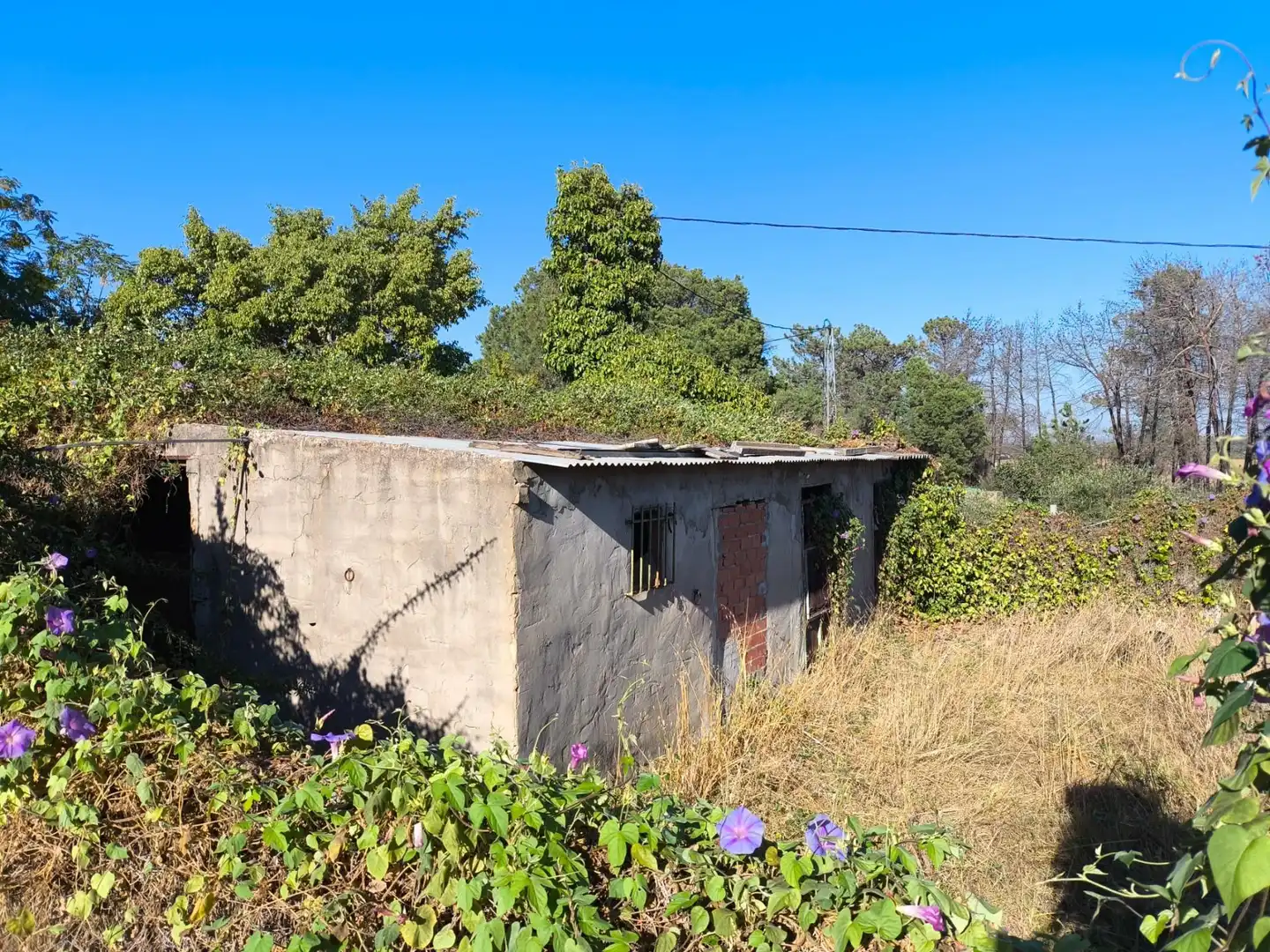 Casa rustica con giardino in vendita a Gibraleón, imagen 21