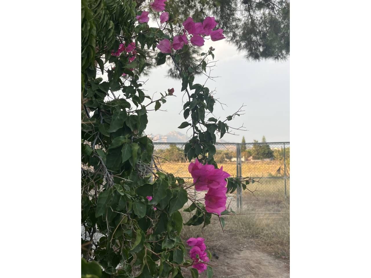 Country house for sale in DE PONENT, La Huerta  , Mutxamel