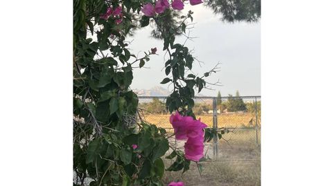 Venta de Casa Rústica en Mutxamel