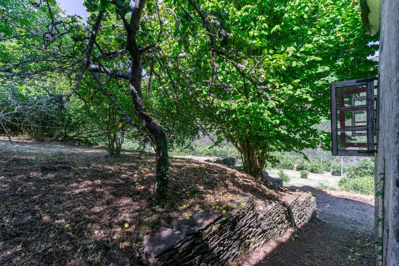 Jardí de Casa o xalet en venda en Allande amb Jardí privat i Balcó