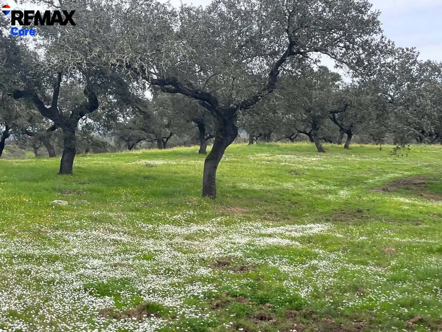 Terreni e lotti in vendita a Jerez de los Caballeros, imagen 21