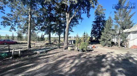 Foto 5 de Finca rústica en venta en Lebrija, Sevilla