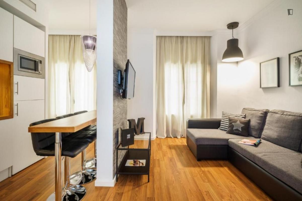 Sala d'estar de Apartament de lloguer en Málaga Capital amb Aire condicionat, Calefacció i Moblat