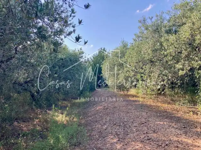 Country house for sale in Riudoms, imagen 4