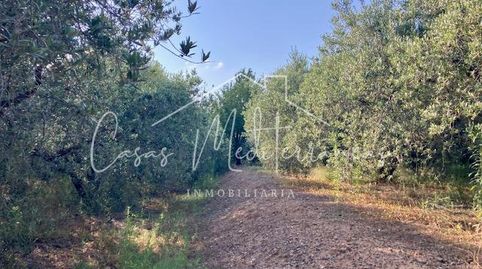 Foto 4 de Finca rústica en venta en Riudoms, Tarragona