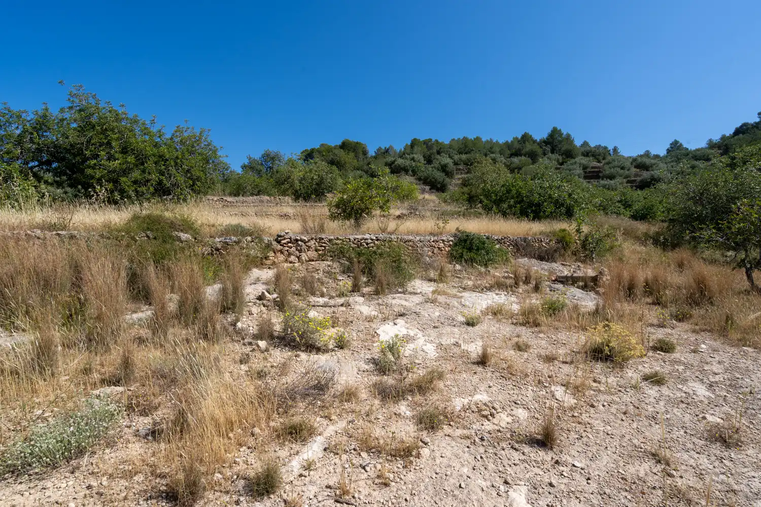 Terrain rustique à vendre à Camí de l'ardiaca 106, imagen 39
