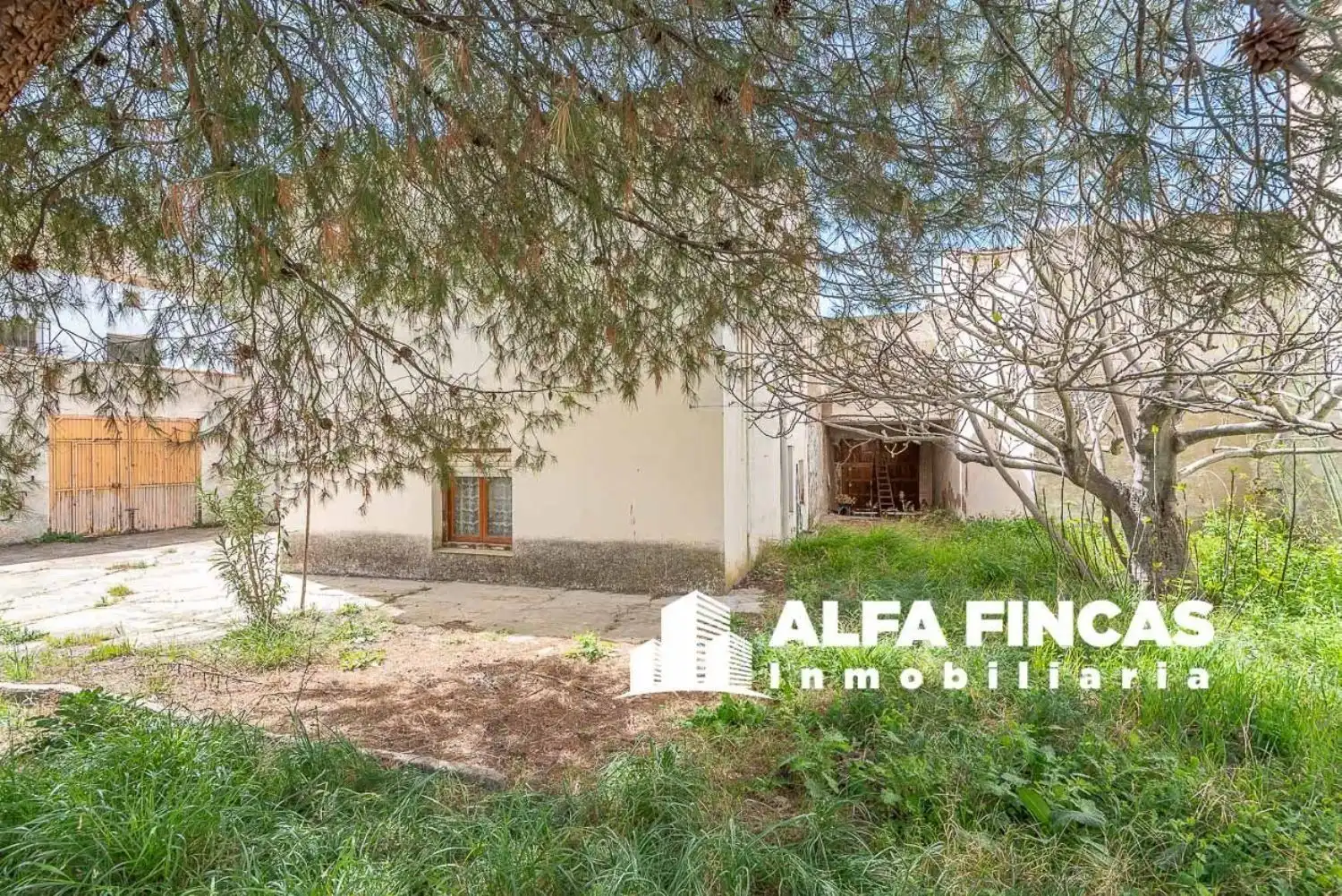 Vista exterior de Casa o chalet en venta en Belmonte con Jardín privado y Balcón