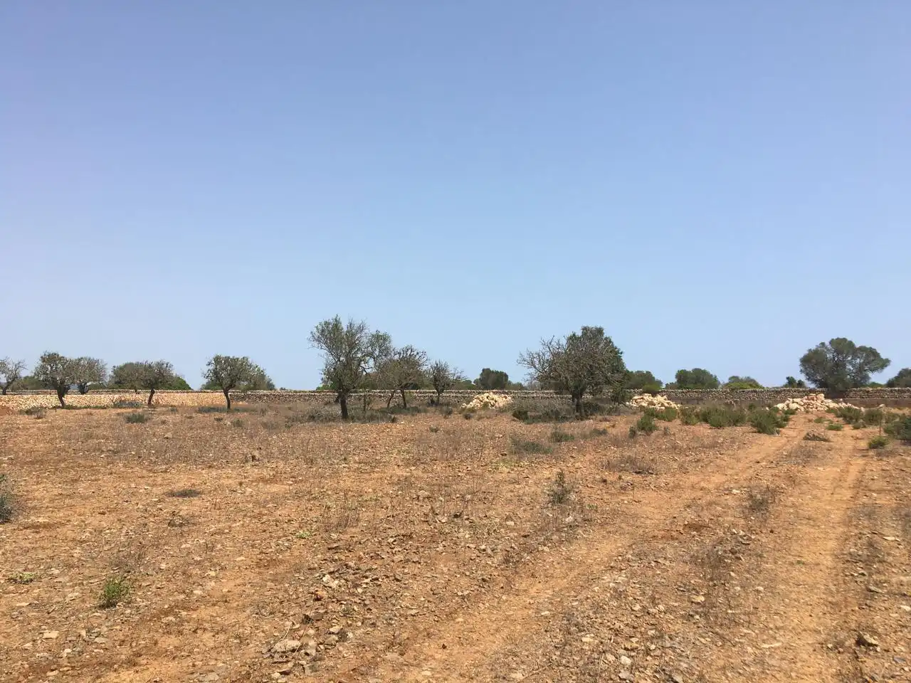 Casa amb piscina en venda a Camí des Pinaret Gran, imagen 11