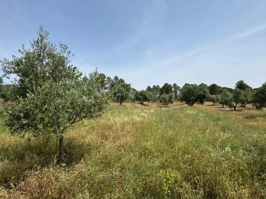 Terreni e lotti in vendita a Mazaleón, imagen 28