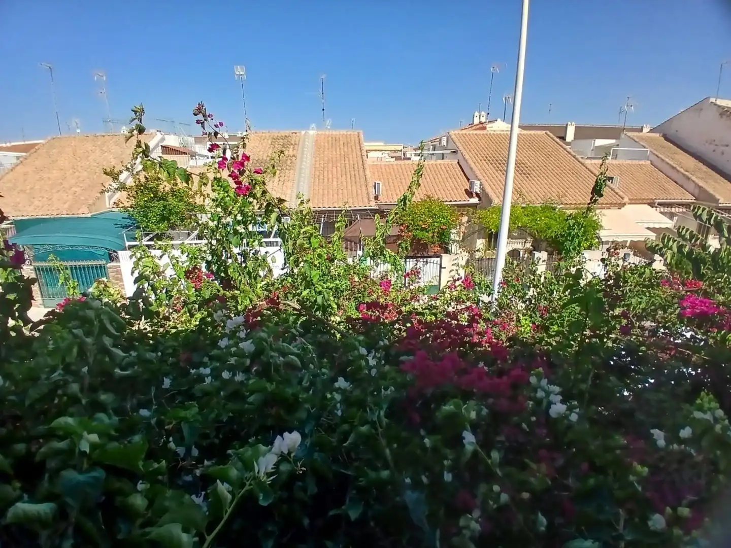 Xalet amb jardí en venda a Los Cuarteros, imagen 37