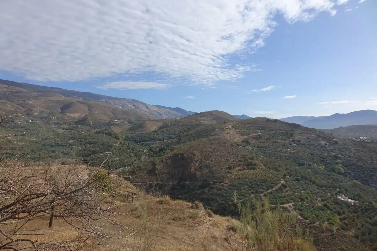 Vista exterior de Finca rústica en venta en Lanjarón