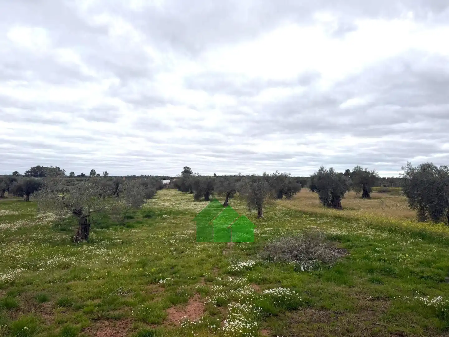 Chalet en venta en Montijo, imagen 12