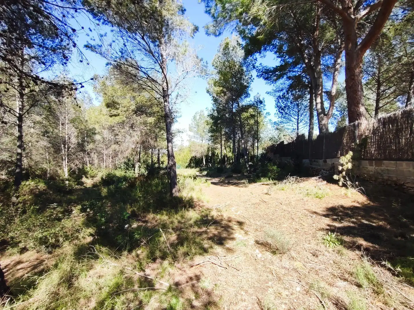 Terreno en venta en Alfara de la Baronia