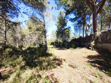 Rustikales Grundstück zum Verkauf in Alfara de la Baronia