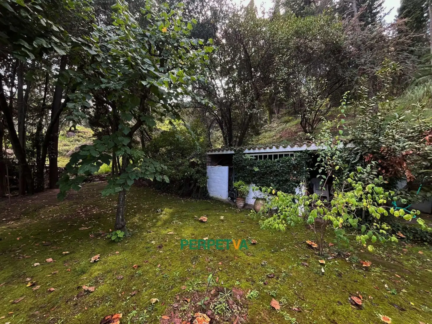 Haus mit Pool zum Verkauf in Castellví de Rosanes, imagen 9
