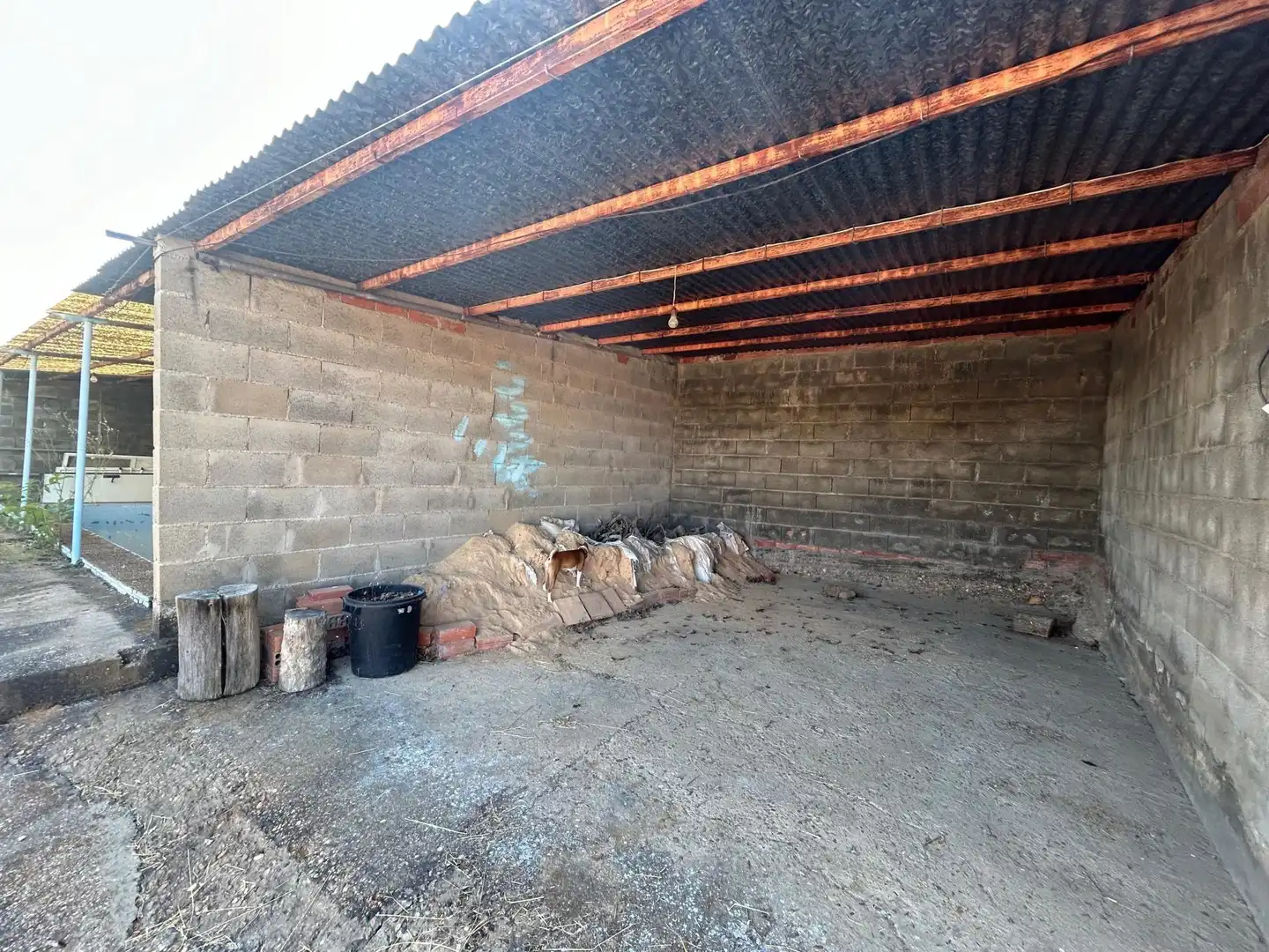 Finca rústica en venta en Benavides